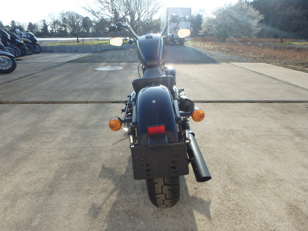    Harley Davidson XL1200X 2011  8